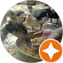 Agustinus Sino Kedong